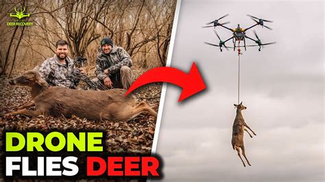 How Much Does Drone Deer Recovery Cost: A Multifaceted Inquiry into Wildlife Conservation Efforts