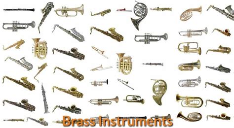 what are some brass instruments? Brass instruments are not only essential in orchestras and bands but also hold a significant place in various musical traditions around the world.